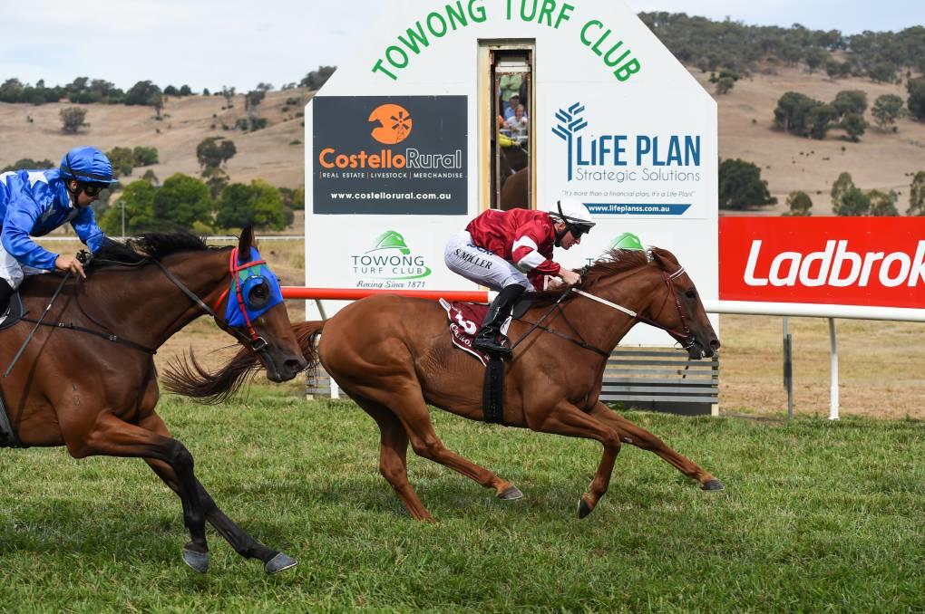 Dale delivers at Towong | The Border Mail - Andrew Dale Racing