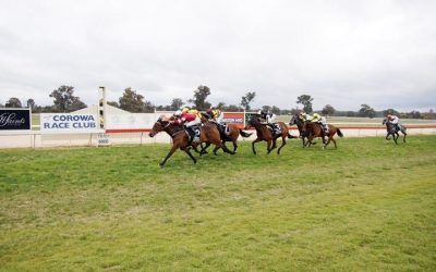 ​Lawton Joseph wins first up | Andrew Dale Racing