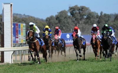 Arthur Porrit places, French Politician improving | Andrew Dale Racing