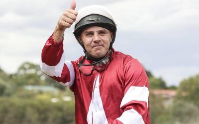 Pacific Tycoon showing good form | Andrew Dale Racing