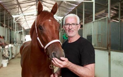 Albury trainer Andrew Dale eyes Wodonga double on Boxing Day | The Border Mail