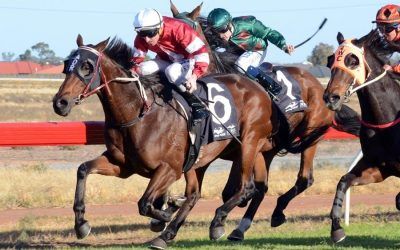 It’s A Fireball flies at Albury | Andrew Dale Racing