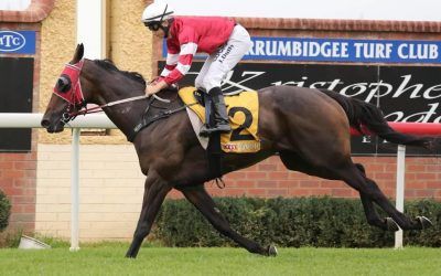 Two on the trot for Arthur Porrit  | Andrew Dale Racing