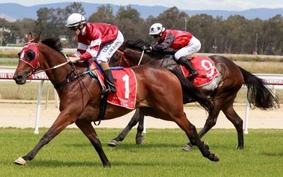 Lawton Joseph out to repeat at Corowa  | Andrew Dale Racing