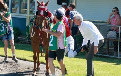 Veteran campaigner given time frame to regain best form | The Border Mail