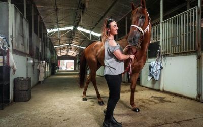 Albury trainer Andrew Dale could farewell Little Red Devil | The Border Mail