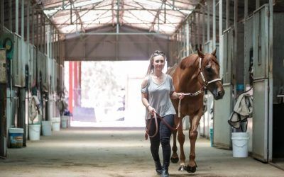 Little Red Devil on the move up north after Border trainer sells | The Border Mail
