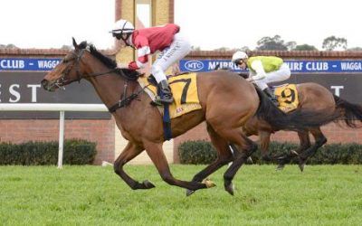 Lawton Joseph on trial at Wagga | Andrew Dale Racing