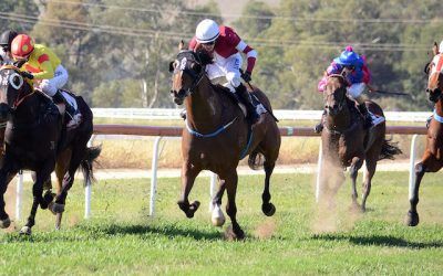 Parliament wins on debut | Andrew Dale Racing
