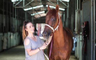 Love for horses drives Collins | Andrew Dale Racing