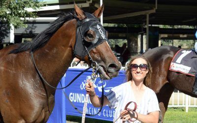 Albury preview | Andrew Dale Racing