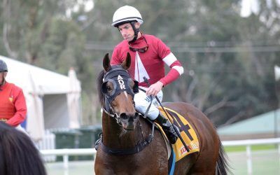 Parliament makes it two wins from three starts since joining Andrew Dale | The Daily Advertiser