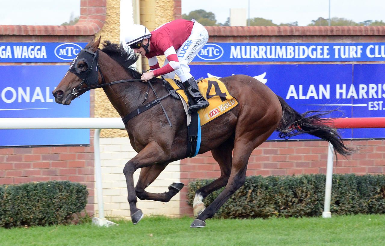 Parliament wins at Wagga carnival | Andrew Dale Racing - Andrew Dale Racing