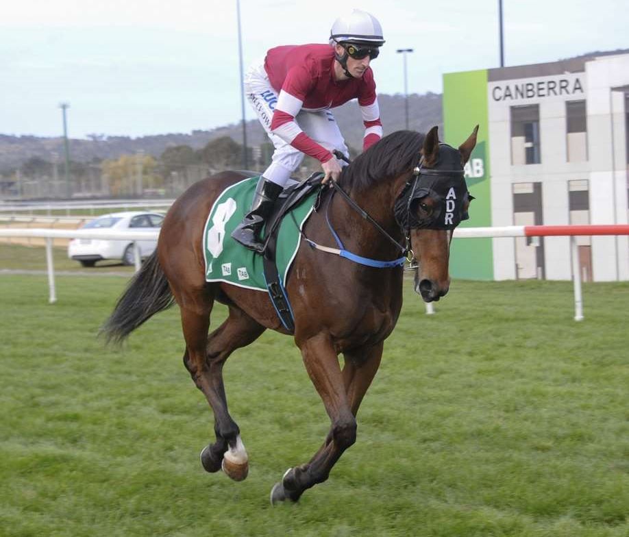 Former Kiwi to build on near impeccable record - Andrew Dale Racing