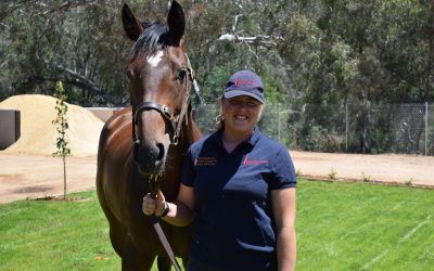 Stable profile: Annie Holmes