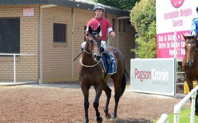 Suburbia finds form at Albury to score maiden win