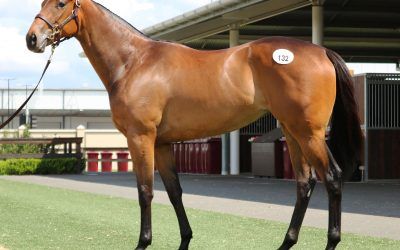 Wangaratta stable secures well bred two year olds