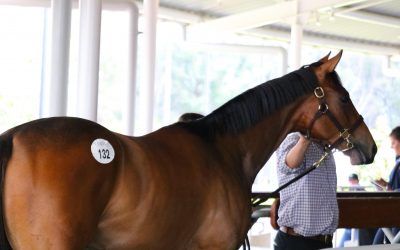 Inglis Classic Sale Preview