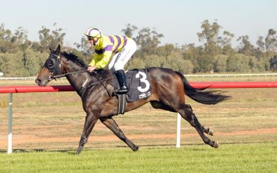 Namarari leads all the way in Leeton Cup