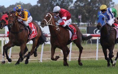 Hervor adds first win for new stable with victory at Albury