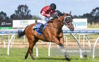 Fromista continues career best form with win at Wangaratta