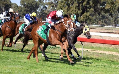 Dale claims double at Tocumwal