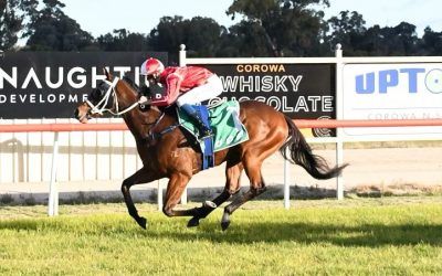 Wangaratta-trained galloper starting to shed bridesmaid tag