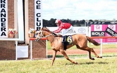 Wangaratta trained filly shooting for city assault