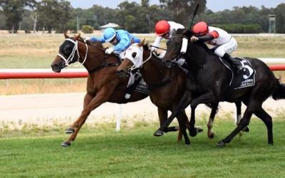 Victory at Corowa for new addition Crimosa