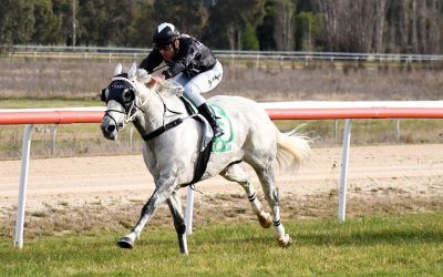 From the Barn: Successful day at Corowa
