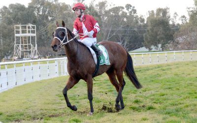 From the Barn: Sheila wins, Berrigan and Wagga up next