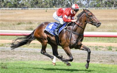 From the Barn: Adaminaby Cup meeting we go