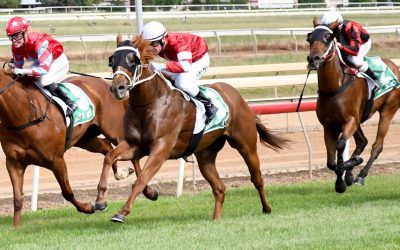 From the Barn: Racing returns to Wangaratta