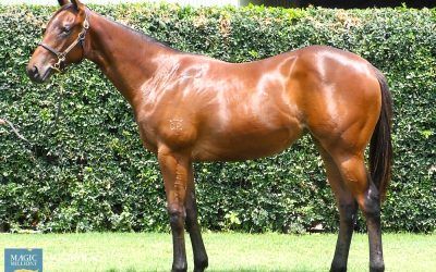 Forgotten Spirit eyeing Magic Millions run