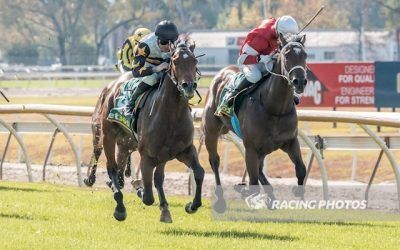 Brenlyn’s Legacy impresses on debut