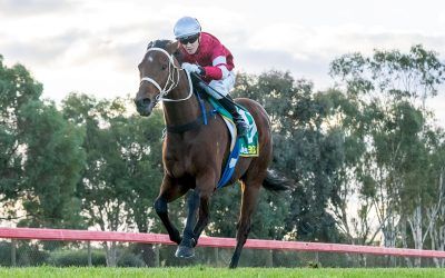Dale eyes Wagga wins after stellar start to the week