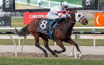 Sheila Powers to Wet-Track Victory at Wodonga
