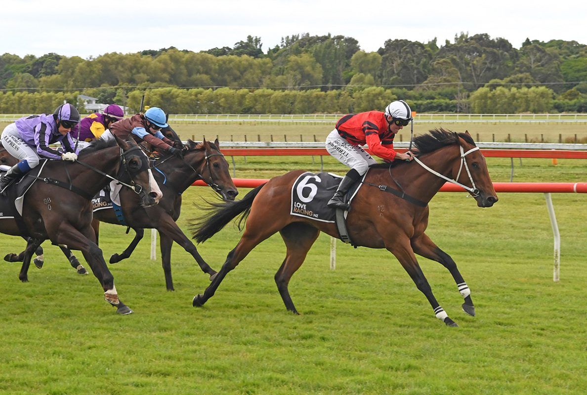 King Incanto