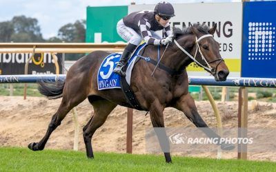 The Narrator Shines on Debut at Benalla