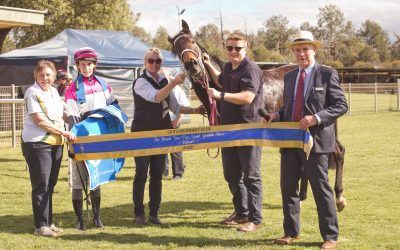 Dubai Fountain snaps maiden