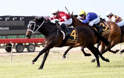 Eamonn’s Memory adds Jerilderie Cup to CV