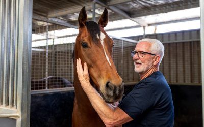 Andrew Dale Racing Secures Third SDRA Trainers’ Premiership