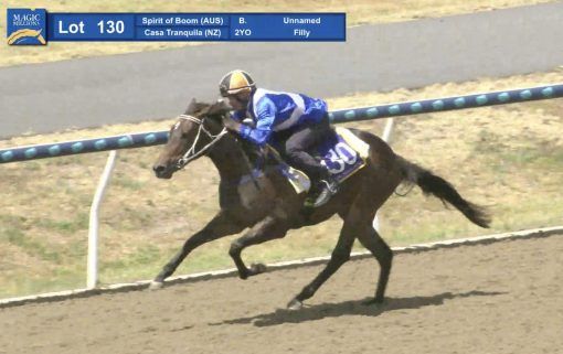 Spirit Of Boom x Casa Tranquila