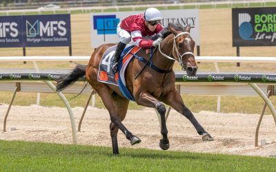 Brenlyn’s Legacy Continues a Family Story of Faith, Fortitude and Heart