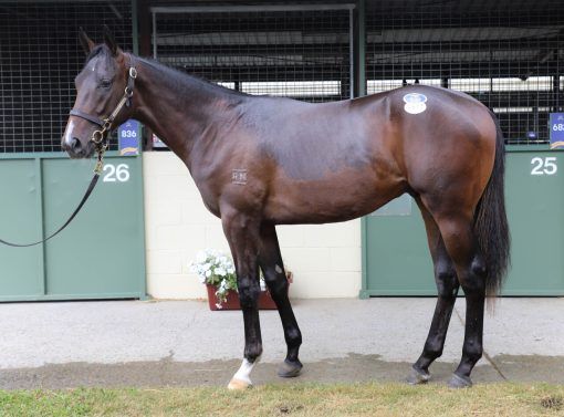 Smart Missile x Miss Lustrous