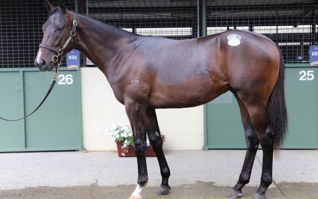 Un-named (Smart Missile – Miss Lustrous)