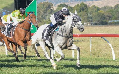 A model of consistency: Chairman’s Choice raises the bat