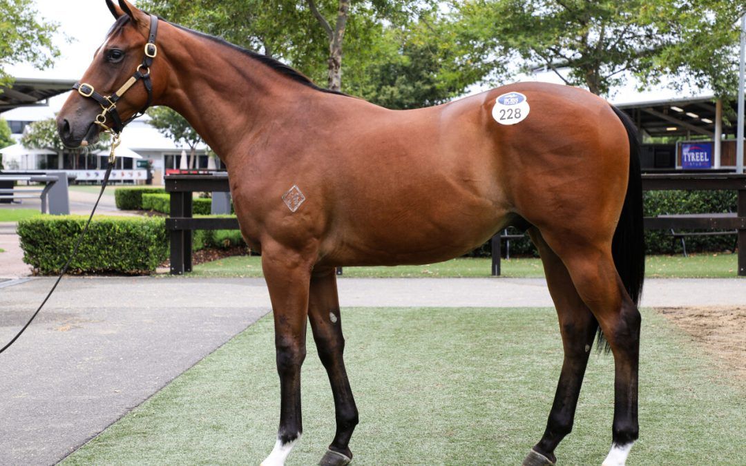 Acrobat X My Sanctuary