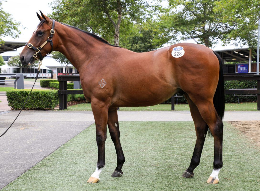 Acrobat X My Sanctuary