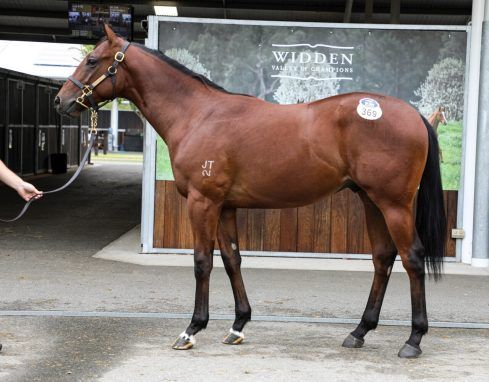 Portland Sky X Ruby Society